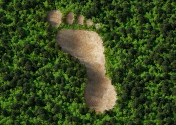Greenwashing_Foot_Large