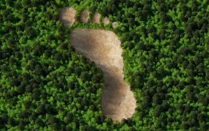 greenwashing
