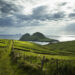 Ireland_Large