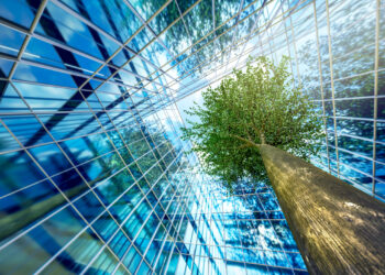 Forest_Fund