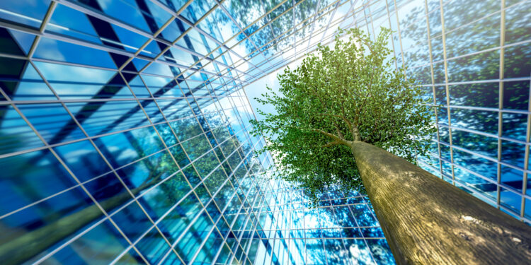 Forest_Fund
