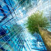 Forest_Fund