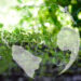 sustainable_funds_Medium