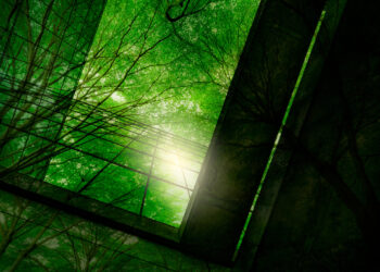 Carbon_Footprint