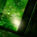 Carbon_Footprint