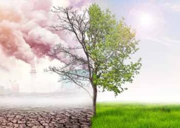 Climate_change_tree_