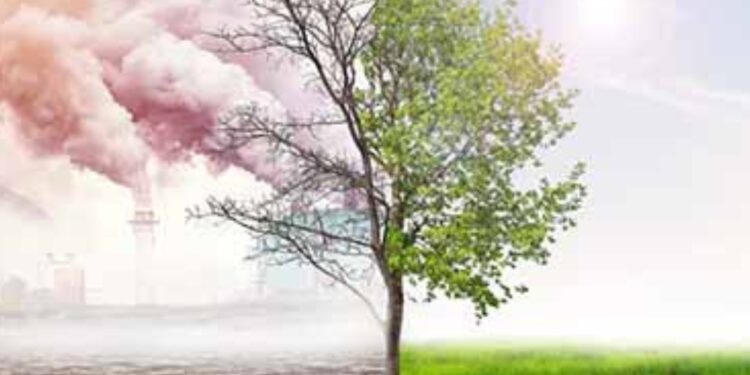 Climate_change_tree_