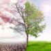 Climate_change_tree_