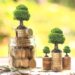 sovereign, bonds, climate