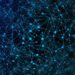 Network_Large