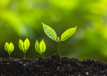ESG_growing plant_
