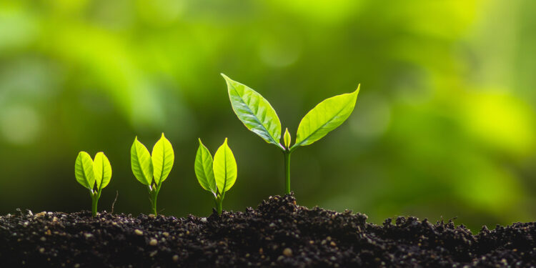 ESG_growing plant_