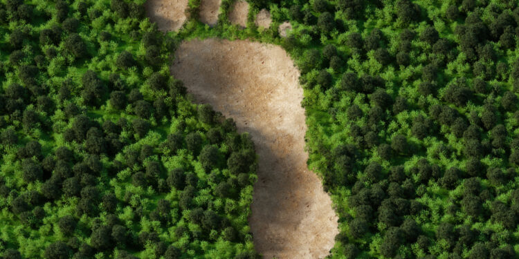 Greenwashing_Foot_Large