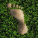 Greenwashing_Foot_Large