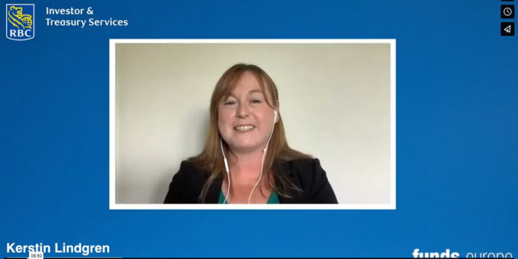 Kerstin_Lindgren_video_screen