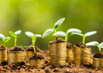 growing_wealth_