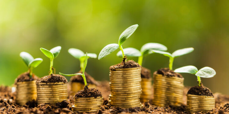 growing_wealth_