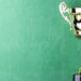 trophy_1380