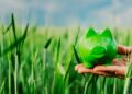 Edmond de Rothschild, Asset Management, ESG, infrastructure, debt, fund