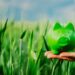 Edmond de Rothschild, Asset Management, ESG, infrastructure, debt, fund