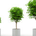 rising, risks, biodiversity, EU, law, land