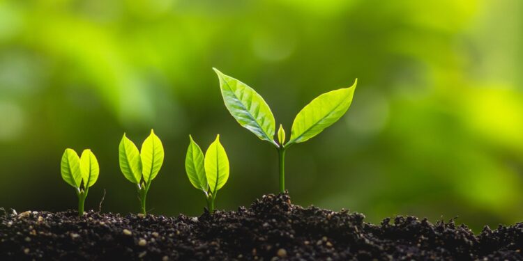 European, investors, ESG, ETFs, European investors, invest, sustainable ETFs, US, sustainability, Track Insight