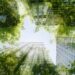 ecolabel_buildings