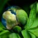 LGIM, National Trust, fossil fuel, divestment