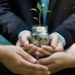 Growing, sustainability, universe, investors, fund industry, growth, regulation, fund, industry