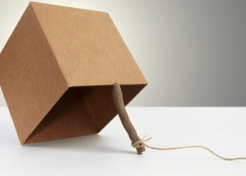 Building the best mousetrap