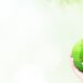 ESG_globe_new