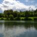 Invesco, support, wetlands, restoration, project, Asset manager, UK, Wildfowl & Wetlands Trust, WWT, partnership, conservation, restoration