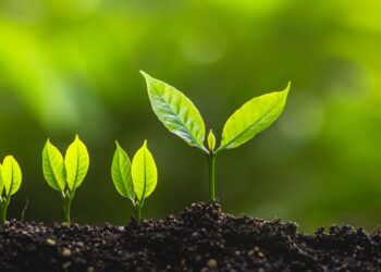 ESG_growing_plant_new