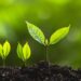 ESG_growing_plant_new