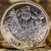 pound_close_up_new