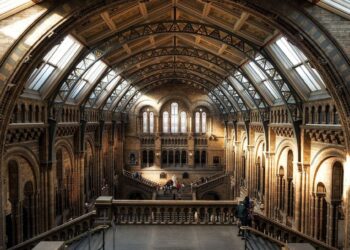 Bloomberg and Natural History Museum announce biodiversity tool for investors