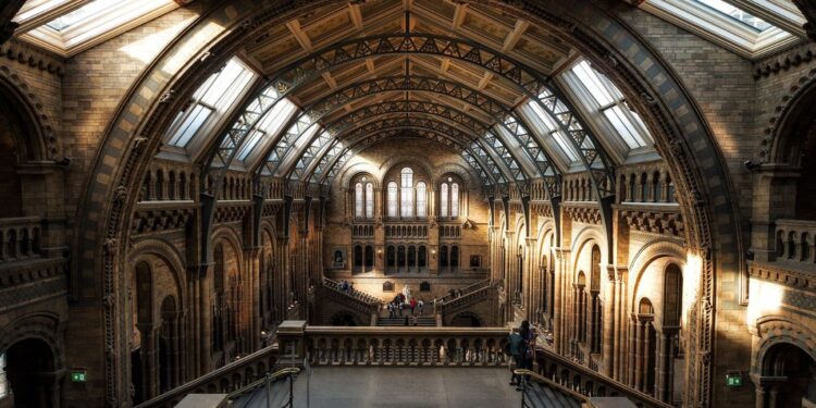 Bloomberg and Natural History Museum announce biodiversity tool for investors