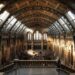 Bloomberg and Natural History Museum announce biodiversity tool for investors