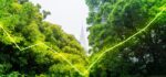 Sustainable_funds_new