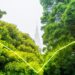 Sustainable_funds_new (2)