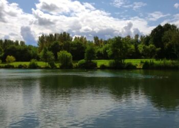 wetlands_new (1)