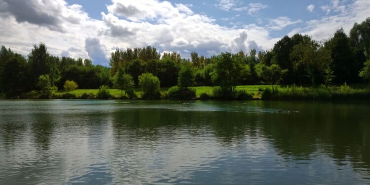 wetlands_new (1)