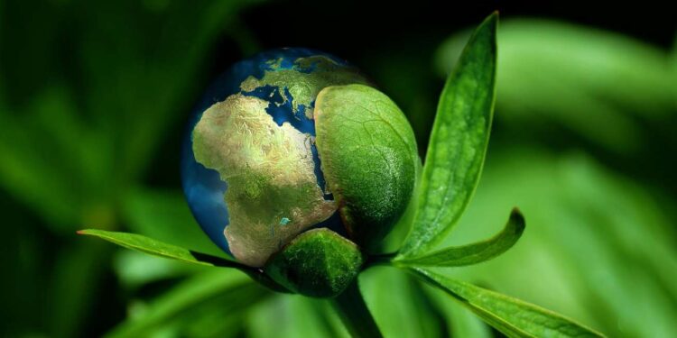Investors “do not know how to measure climate risk”