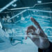 Euroclear offers private assets at reduced minimum investment levels following iCapital deal