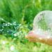 2022 was the peak year for climate tech VC fundraising: study