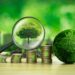 Record sales of green bonds in the first half of 2024