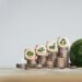 Record sales of green bonds in the first half of 2024