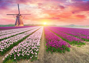 Pensioenfonds PNO Media selects Van Lanschot Kempen for €195m mandate