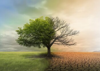 Robeco launches climate indices