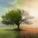 Robeco launches climate indices
